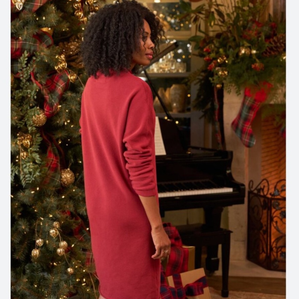 Frank & Eileen Red Izzie Sweatshirt Party Dress - Picture 3 of 12